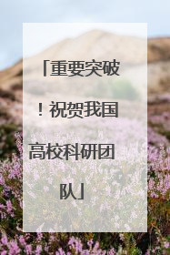 重要突破！祝贺我国高校科研团队