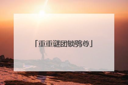重重谜团锁鸮尊