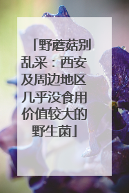 野蘑菇别乱采：西安及周边地区几乎没食用价值较大的野生菌