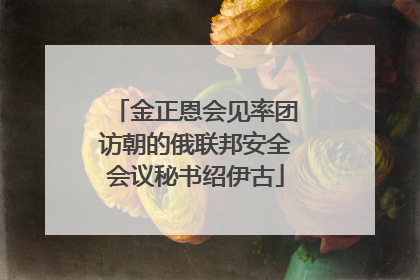 金正恩会见率团访朝的俄联邦安全会议秘书绍伊古