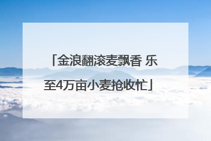 金浪翻滚麦飘香 乐至4万亩小麦抢收忙