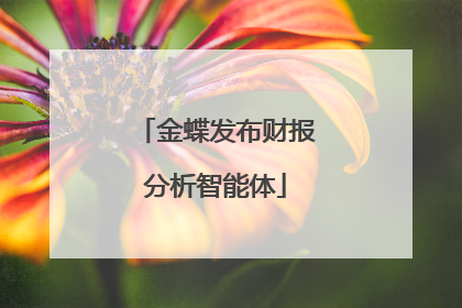 金蝶发布财报分析智能体