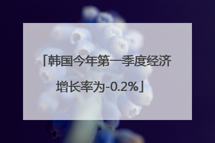 韩国今年第一季度经济增长率为-0.2%
