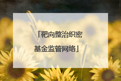 靶向整治织密基金监管网络