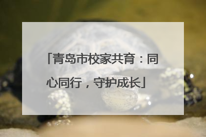 青岛市校家共育：同心同行，守护成长