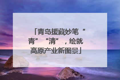 青岛援藏妙笔“青”“清”，绘就高原产业新图景