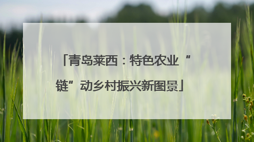 青岛莱西：特色农业“链”动乡村振兴新图景