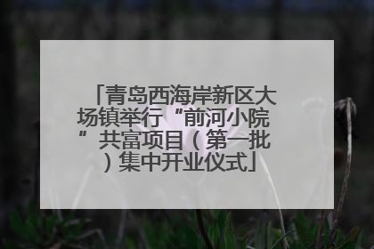青岛西海岸新区大场镇举行“前河小院”共富项目（第一批）集中开业仪式