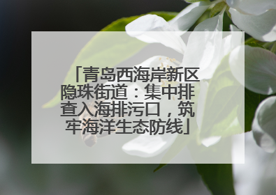 青岛西海岸新区隐珠街道：集中排查入海排污口，筑牢海洋生态防线