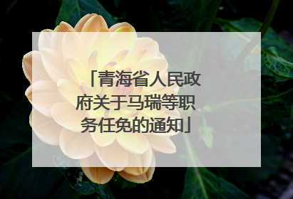 青海省人民政府关于马瑞等职务任免的通知