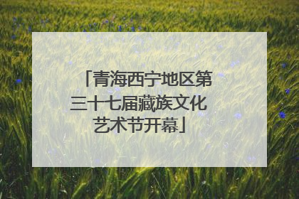 青海西宁地区第三十七届藏族文化艺术节开幕