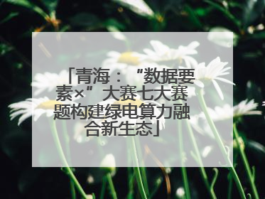 青海：“数据要素×”大赛七大赛题构建绿电算力融合新生态