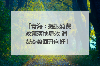 青海：提振消费政策落地显效 消费态势回升向好