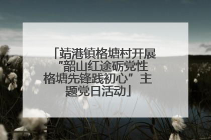 靖港镇格塘村开展“韶山红途砺党性 格塘先锋践初心”主题党日活动
