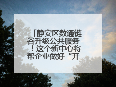 静安区数通链谷升级公共服务！这个新中心将帮企业做好“开门四件事”