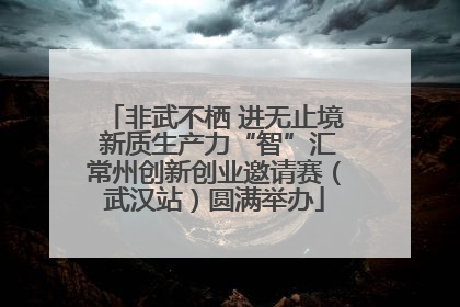 非武不栖 进无止境 新质生产力“智”汇常州创新创业邀请赛（武汉站）圆满举办