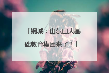 钢城：山东山大基础教育集团来了！