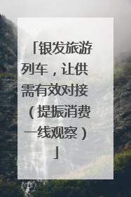 银发旅游列车，让供需有效对接（提振消费一线观察）