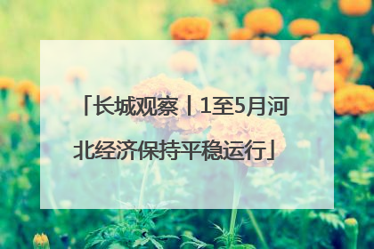 长城观察丨1至5月河北经济保持平稳运行