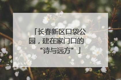 长春新区口袋公园，建在家门口的“诗与远方”