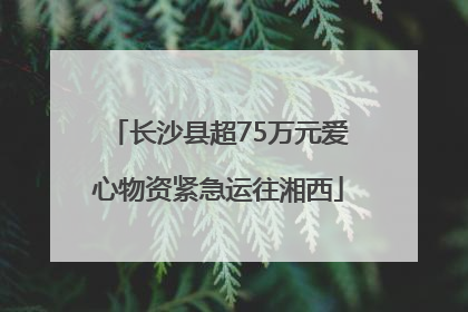 长沙县超75万元爱心物资紧急运往湘西