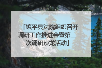 镇平县法院组织召开调研工作推进会暨第三次调研沙龙活动
