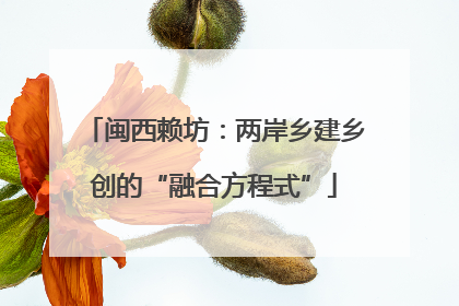 闽西赖坊：两岸乡建乡创的“融合方程式”