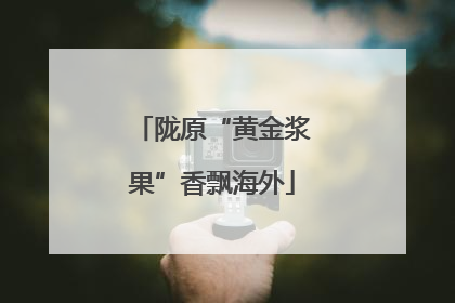 陇原“黄金浆果”香飘海外