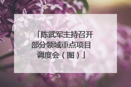 陈武军主持召开部分领域重点项目调度会（图）