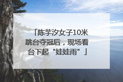 陈芋汐女子10米跳台夺冠后，现场看台下起“娃娃雨”