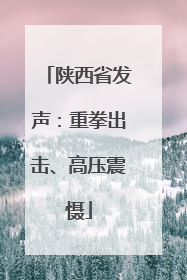陕西省发声：重拳出击、高压震慑