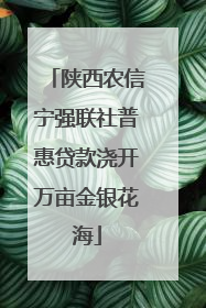 陕西农信宁强联社普惠贷款浇开万亩金银花海