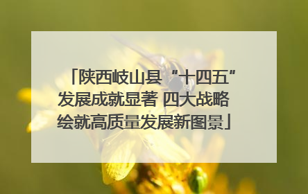 陕西岐山县“十四五”发展成就显著 四大战略绘就高质量发展新图景