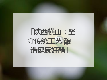 陕西横山：坚守传统工艺 酿造健康好醋