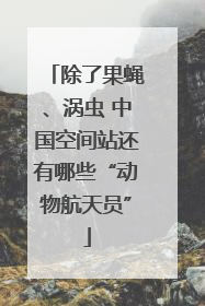 除了果蝇、涡虫 中国空间站还有哪些“动物航天员”