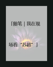 随笔｜我在现场看“苏超”