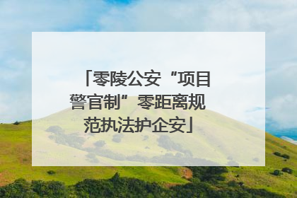 零陵公安“项目警官制”零距离规范执法护企安