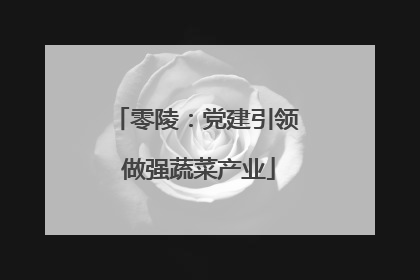 零陵：党建引领 做强蔬菜产业