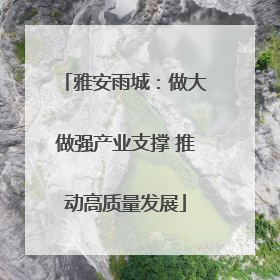 雅安雨城：做大做强产业支撑 推动高质量发展
