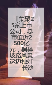 集聚25家上市公司，总市值近2500亿元，桐梓坡路风景这边独好——长沙有条“上市路”