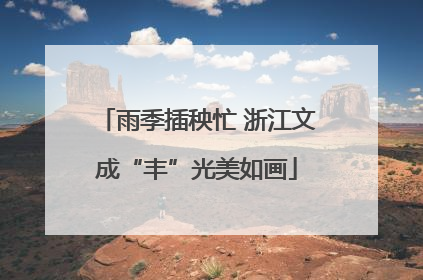 雨季插秧忙 浙江文成“丰”光美如画