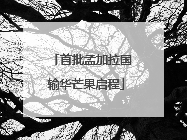 首批孟加拉国输华芒果启程