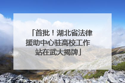 首批！湖北省法律援助中心驻高校工作站在武大揭牌