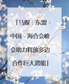 马媒：东盟－中国－海合会峰会助力释放多边合作巨大潜能