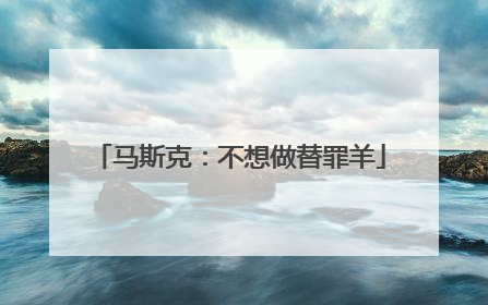 马斯克：不想做替罪羊