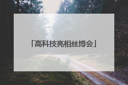 高科技亮相丝博会