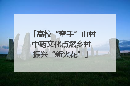 高校“牵手”山村 中药文化点燃乡村振兴“新火花”