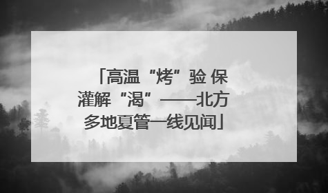 高温“烤”验 保灌解“渴”——北方多地夏管一线见闻