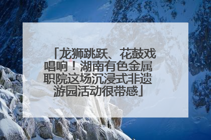 龙狮跳跃、花鼓戏唱响！湖南有色金属职院这场沉浸式非遗游园活动很带感
