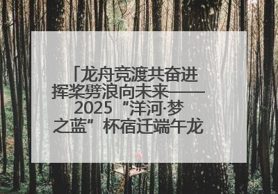 龙舟竞渡共奋进 挥桨劈浪向未来——2025“洋河·梦之蓝”杯宿迁端午龙舟赛侧记